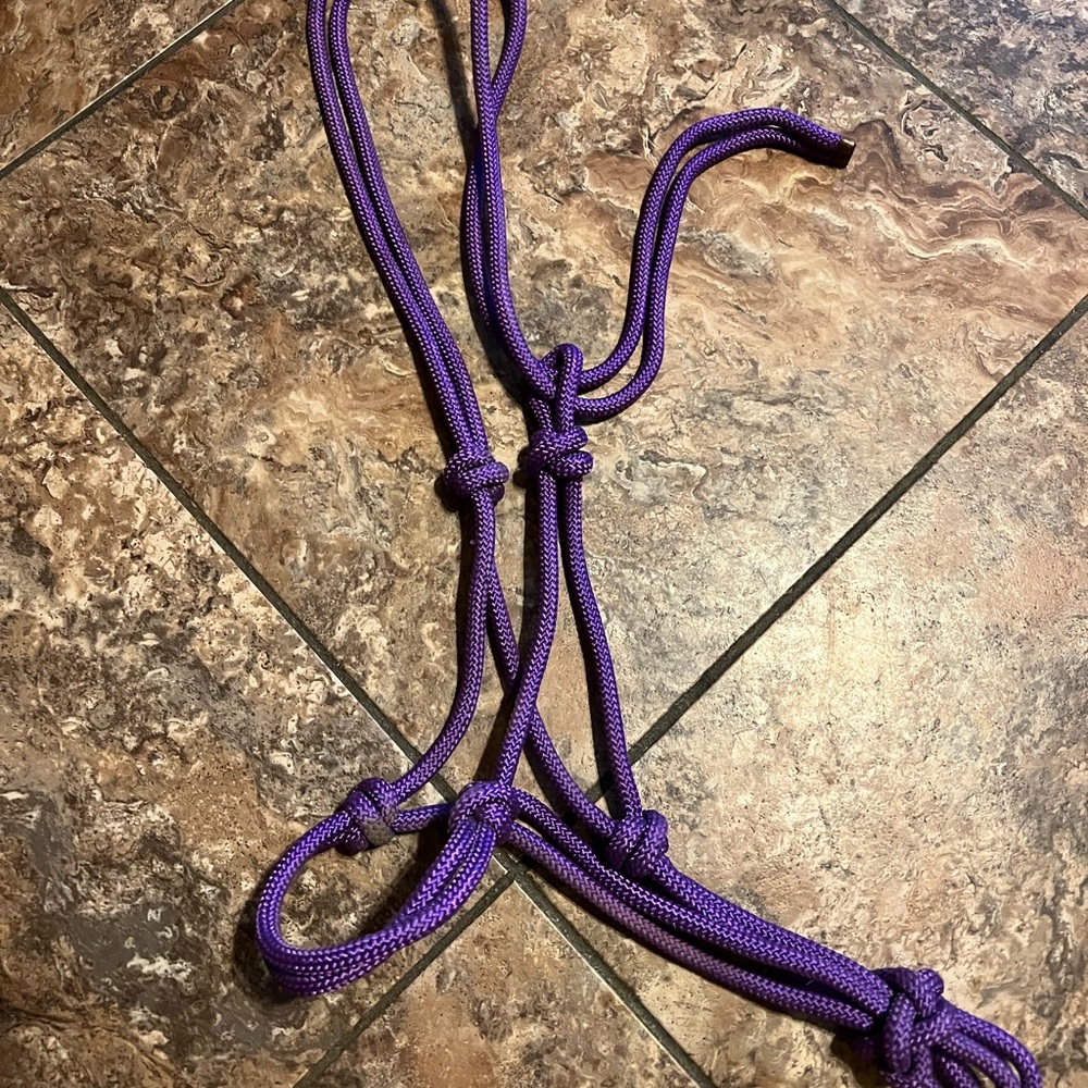 Purple rope horse halter